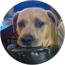 William Schwartz profile picture